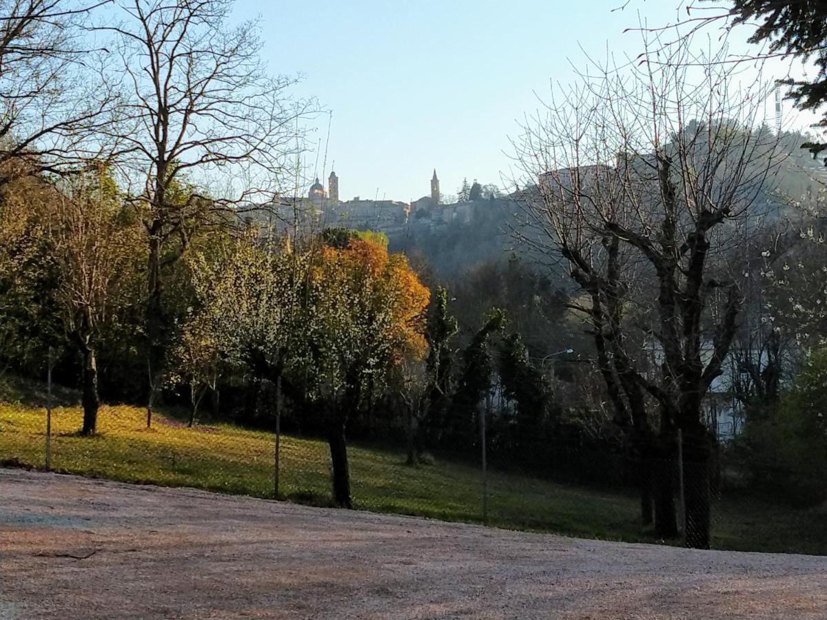 B&B Il Torchio-Урбіно Екстер'єр фото