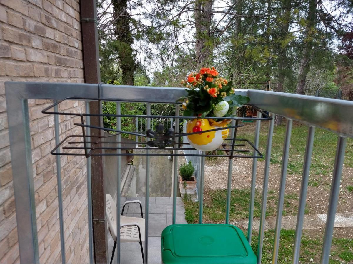 B&B Il Torchio-Урбіно Екстер'єр фото